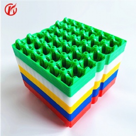 Plastic Egg Tray with very Low Cost